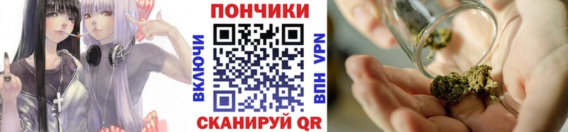 Купить  Петрозаводск  Конопля семена 